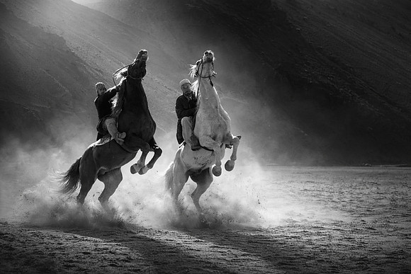 Study - Bushkassi Horsemen