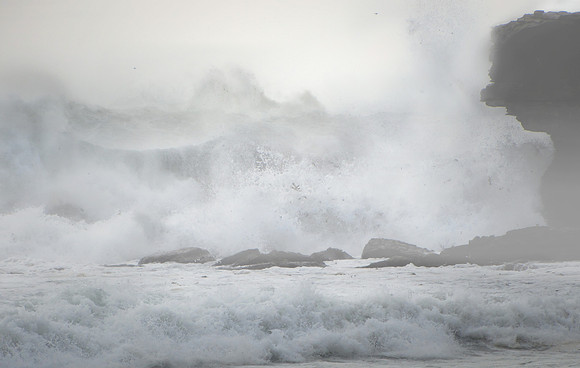 Study - North Sydney - cyclone aftermath