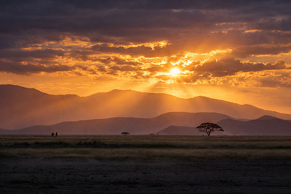Study - Maasai Return Home